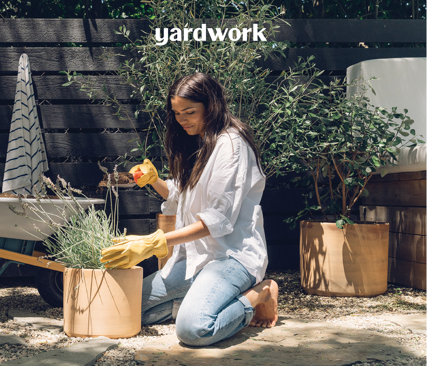 Best Places to Buy Plants Online in 2026